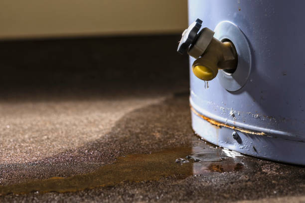 Best Carpet water damage restoration  in Wakarusa, IN