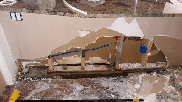 Best Water damage mitigation services  in Wakarusa, IN