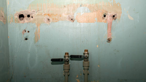  Wakarusa, IN Water damage restoration Pros
