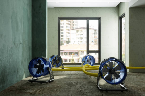 Best Residential water damage restoration  in Wakarusa, IN